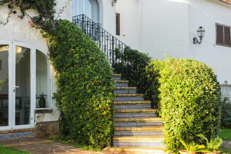 Paint For Outdoor Stairs, 25 Things You Should Know